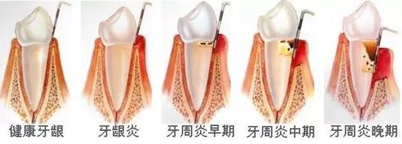 聚焦常熟口腔诊所:探索现代医疗技术的进步与挑战
